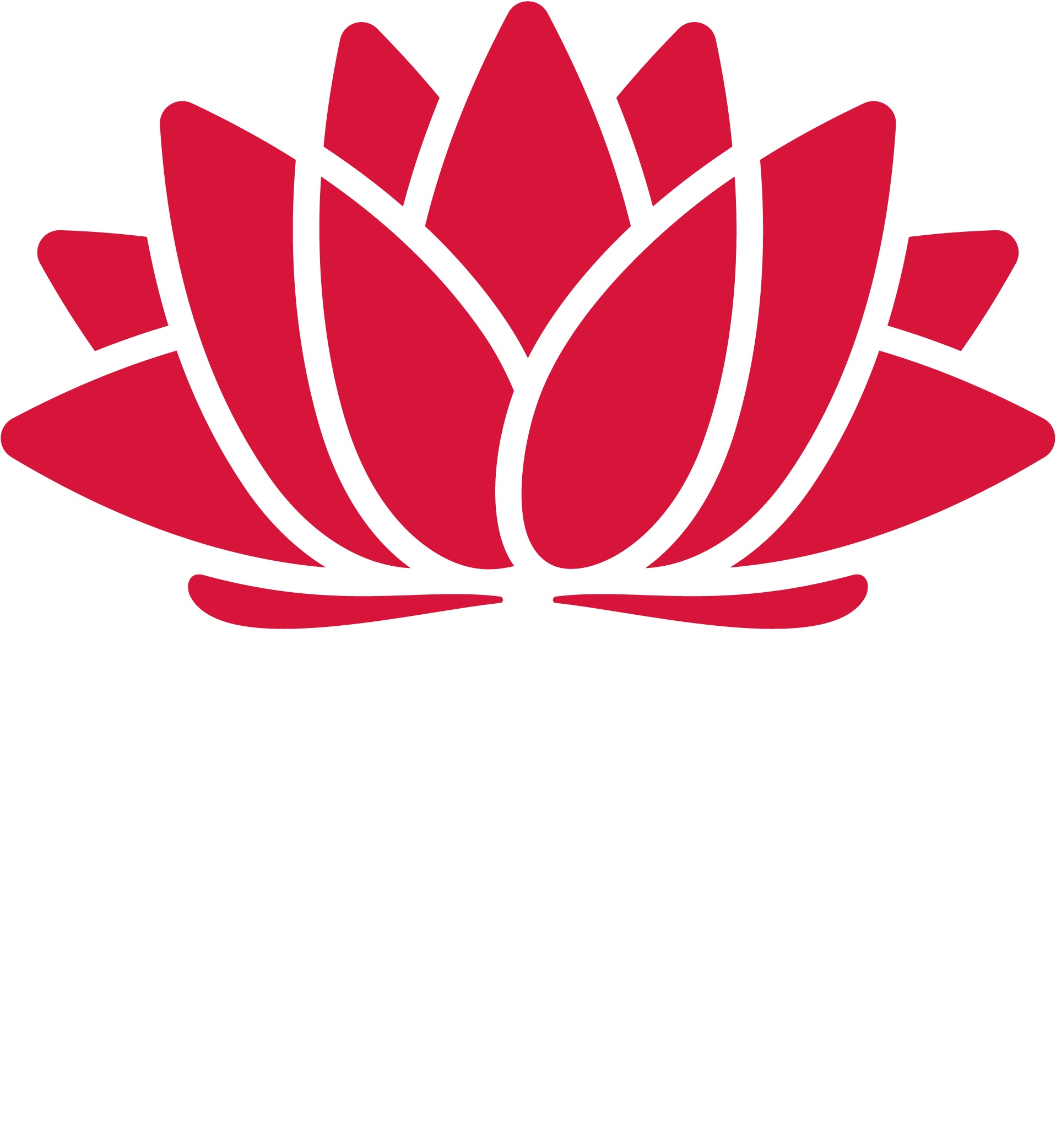 NSW Government Logo